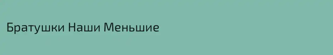 Братушки Наши Меньшие